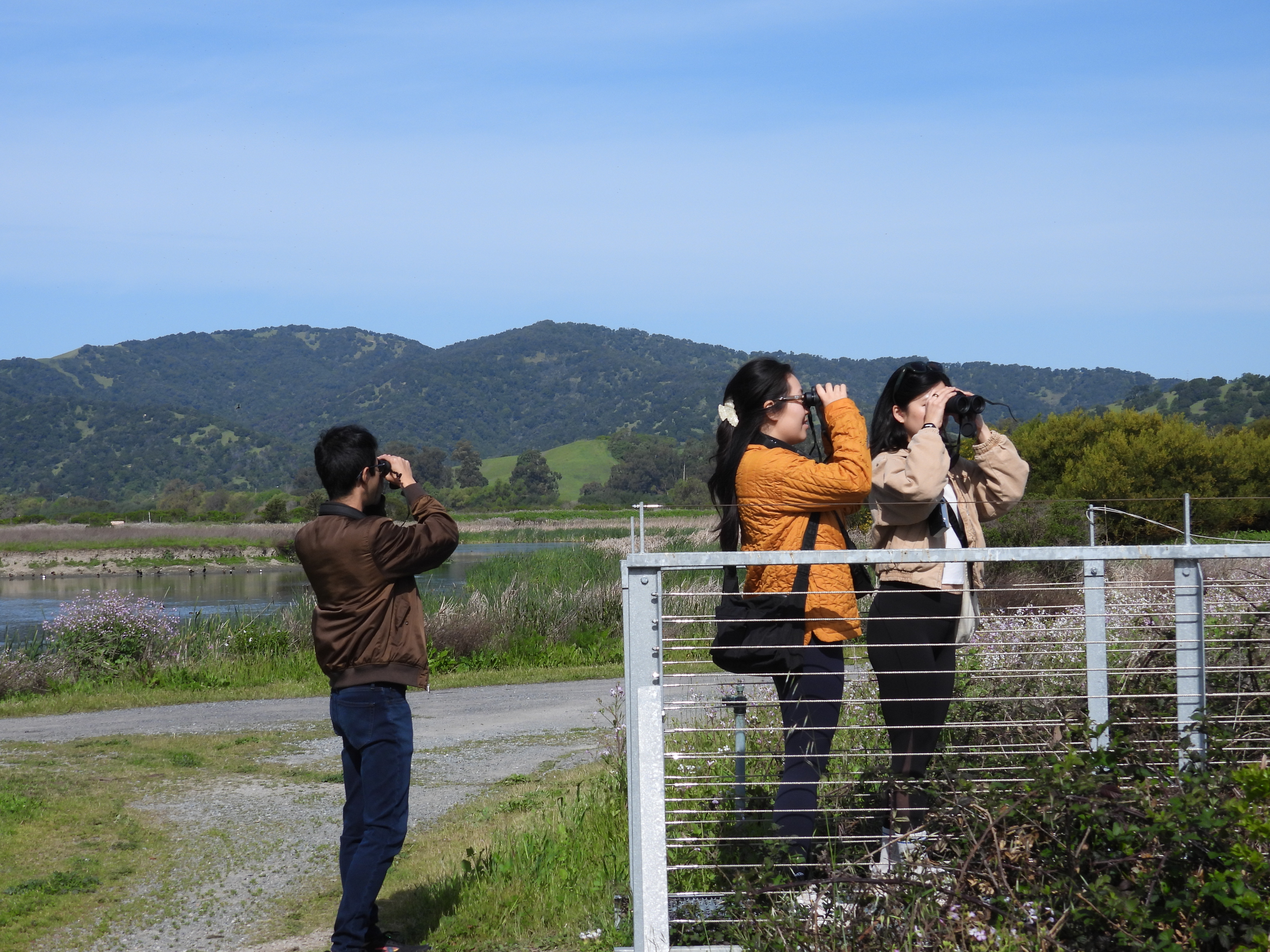 birding crew