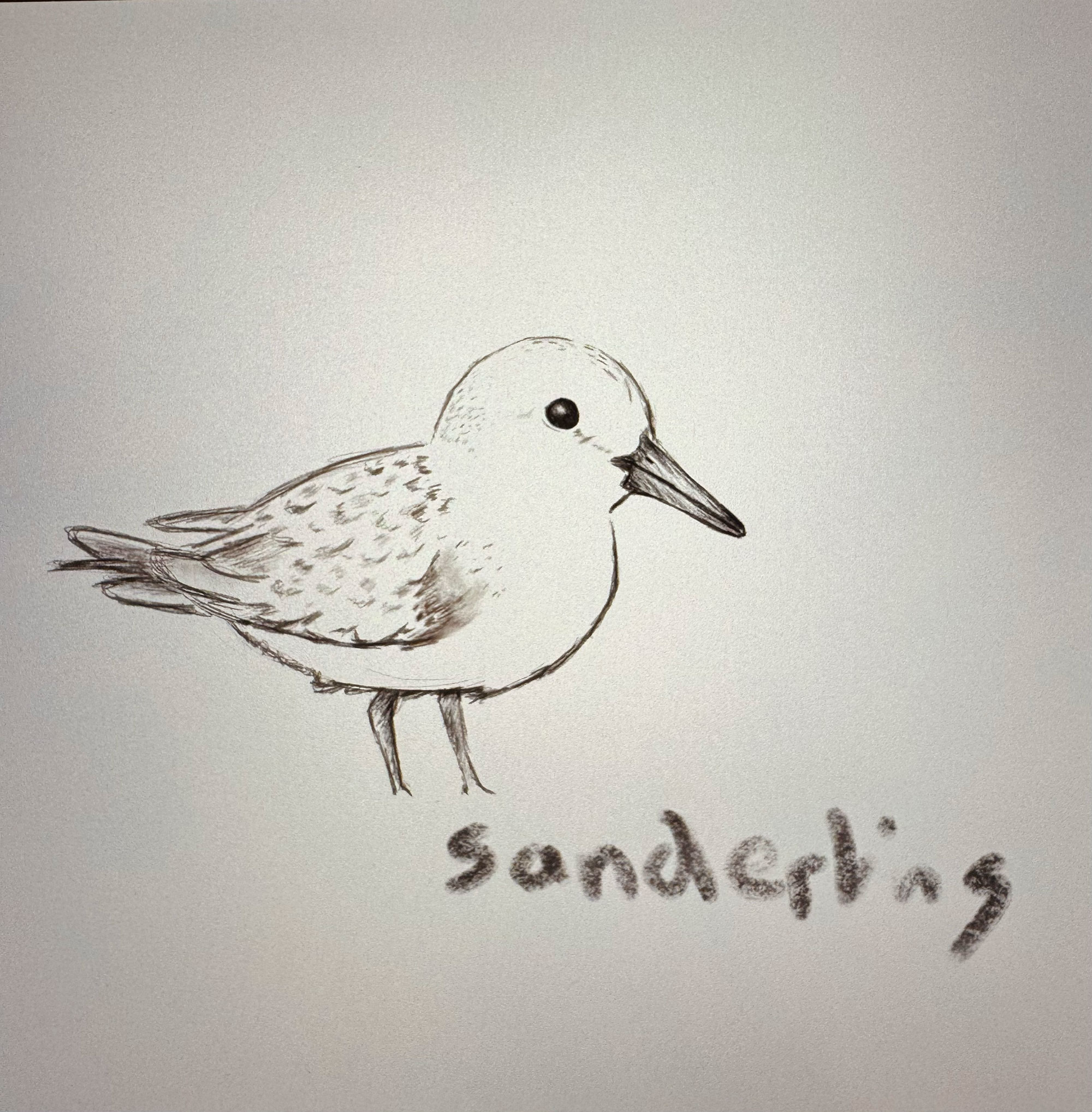 ronnie's drawings