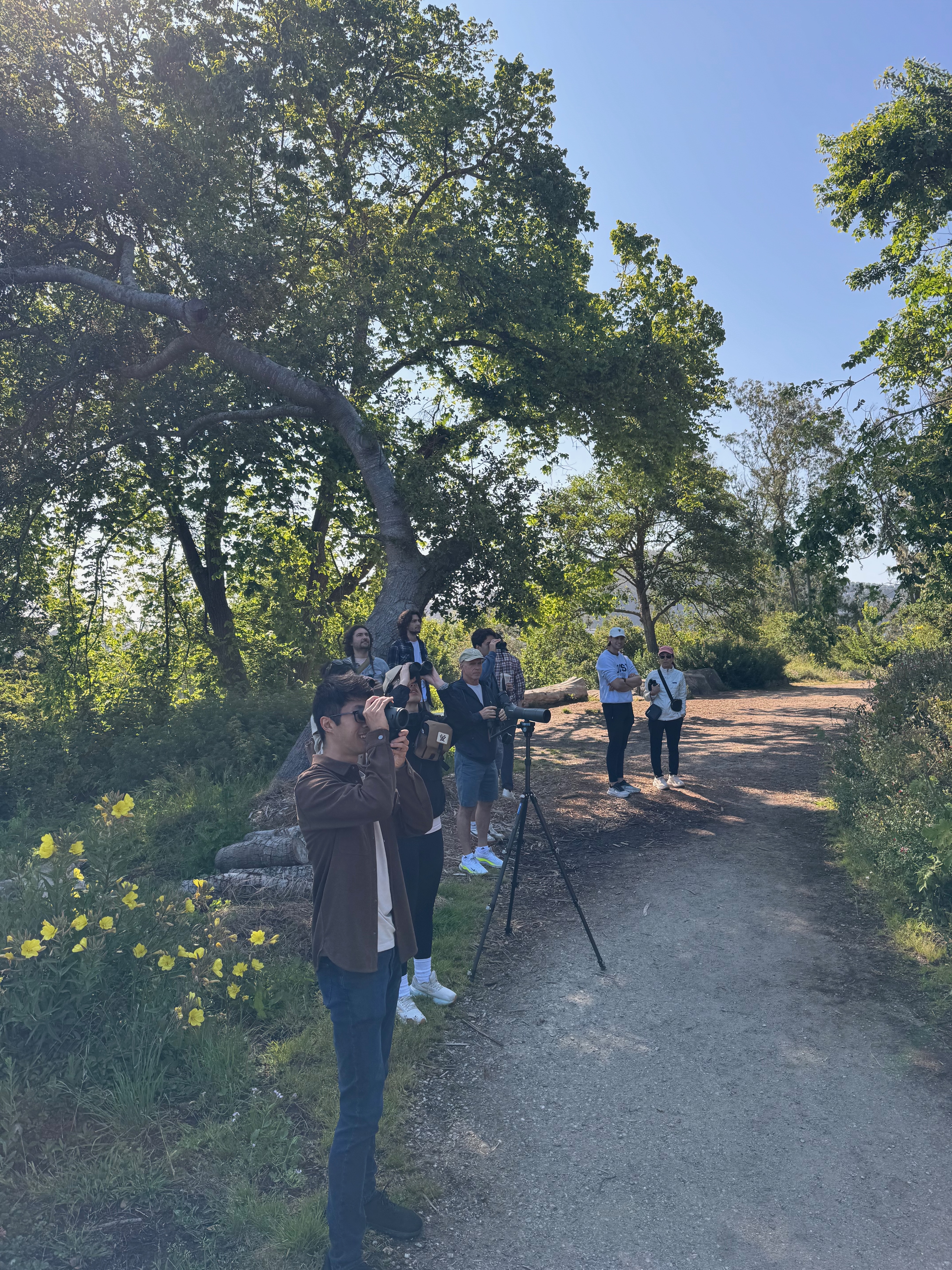 birding crew