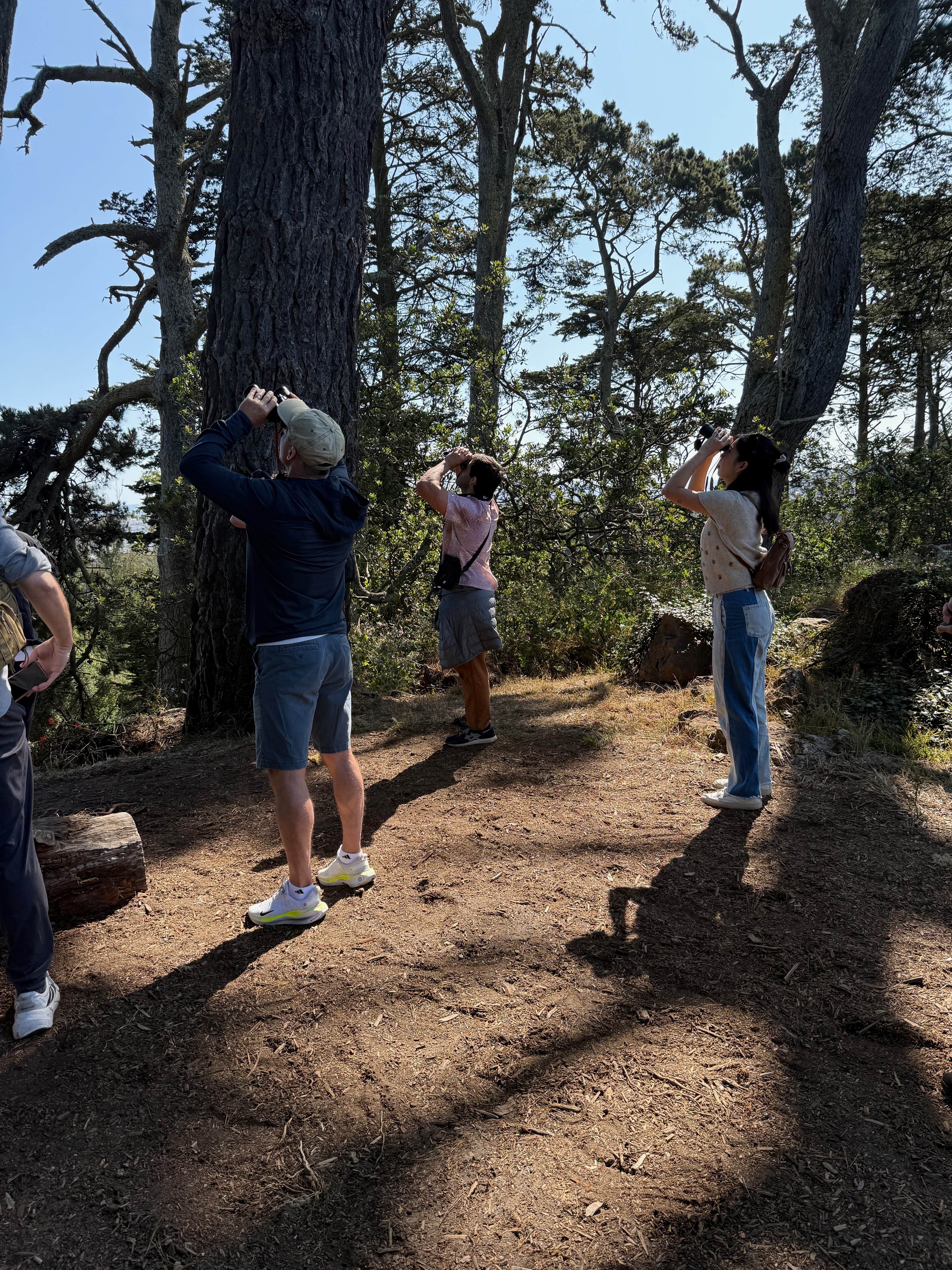 birding crew