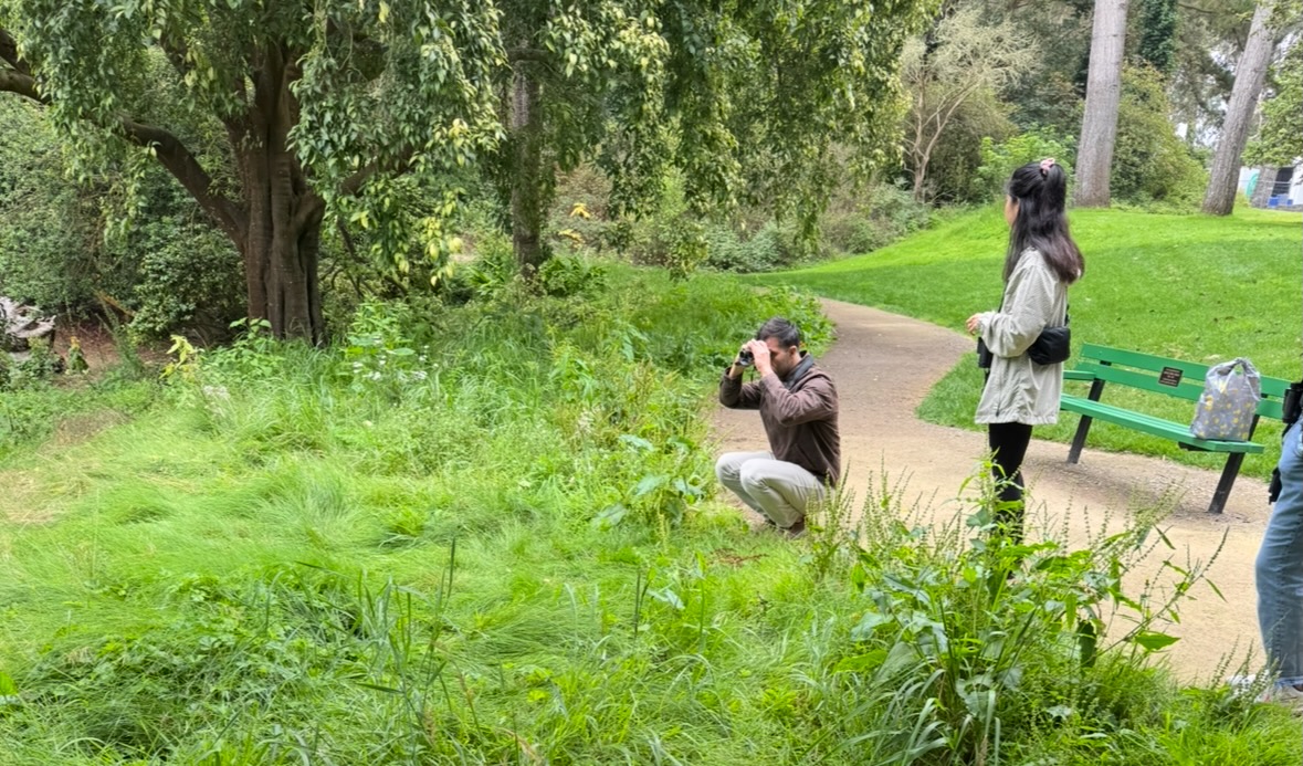 august bird walk