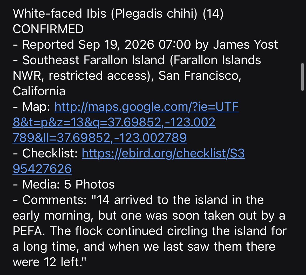 ebird rare bird alert for white-faced ibis on the farallon islands