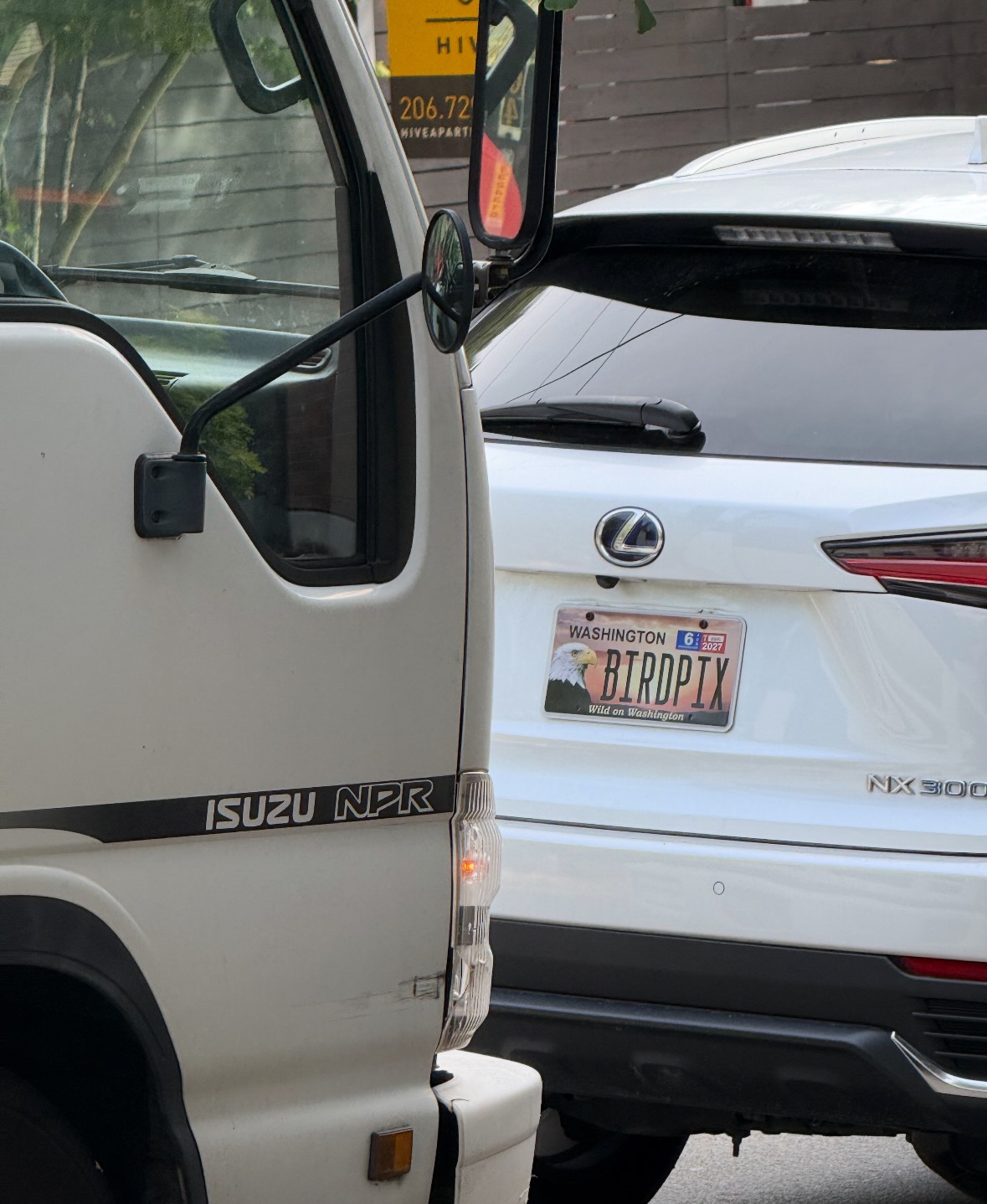license plate