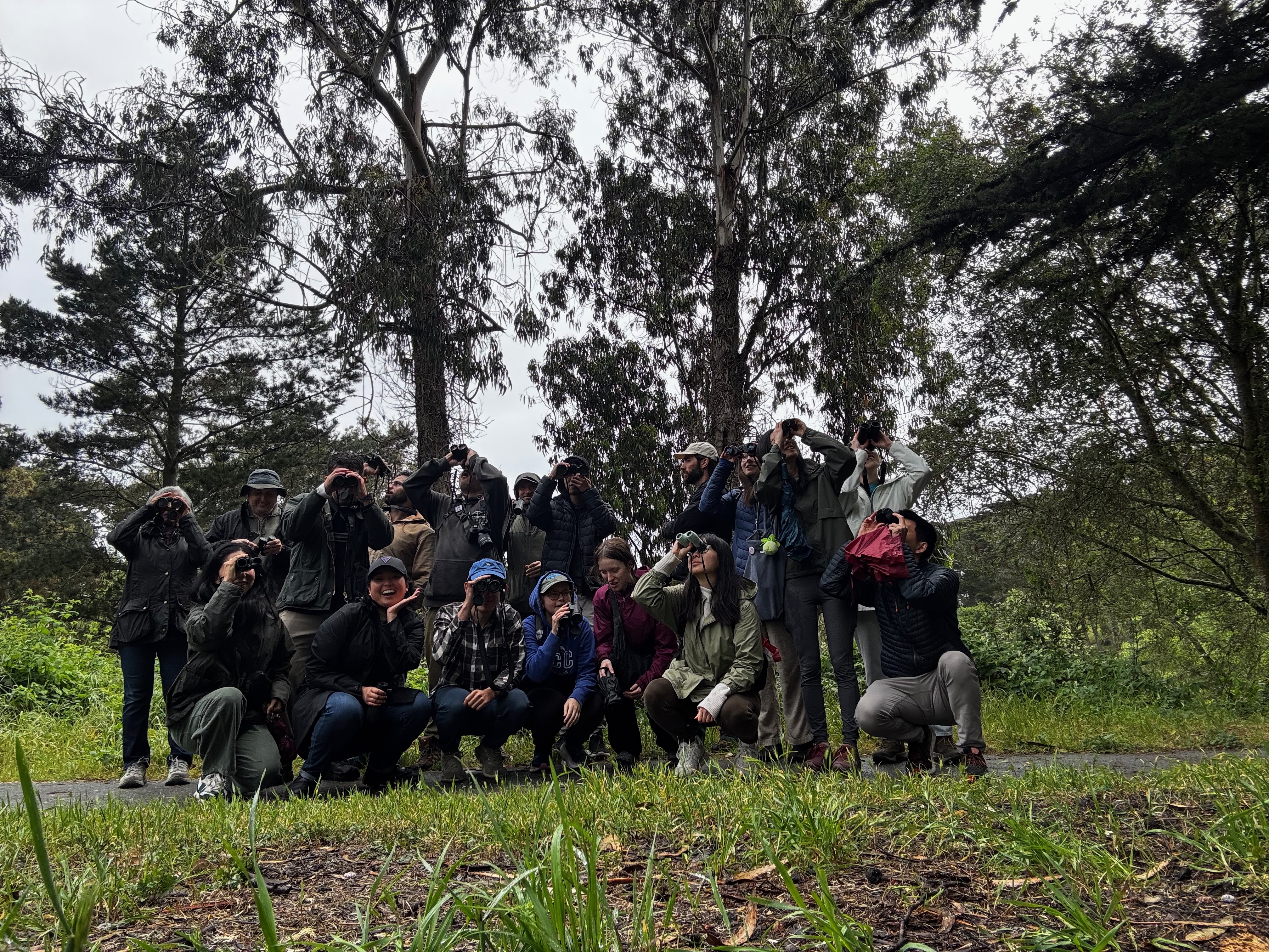  bird walk